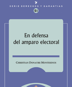 En defensa del amparo electoral