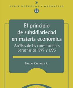 El principio de subsidiariedad en materia economica