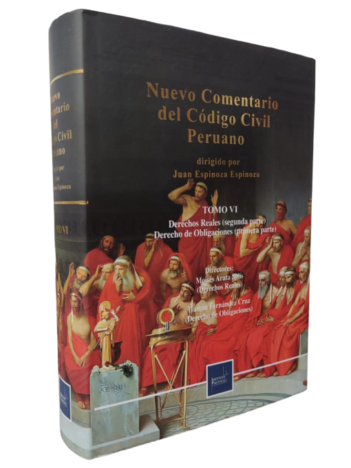 Nuevo comentario del código civil peruano 6