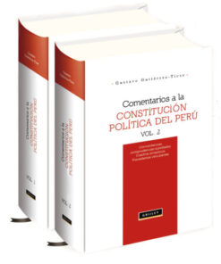 Comentarios a la constitución política del Perú
