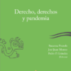 Derecho derechos y pandemia