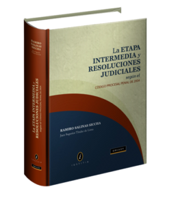 La Etapa Intermedia y resoluciones judiciales